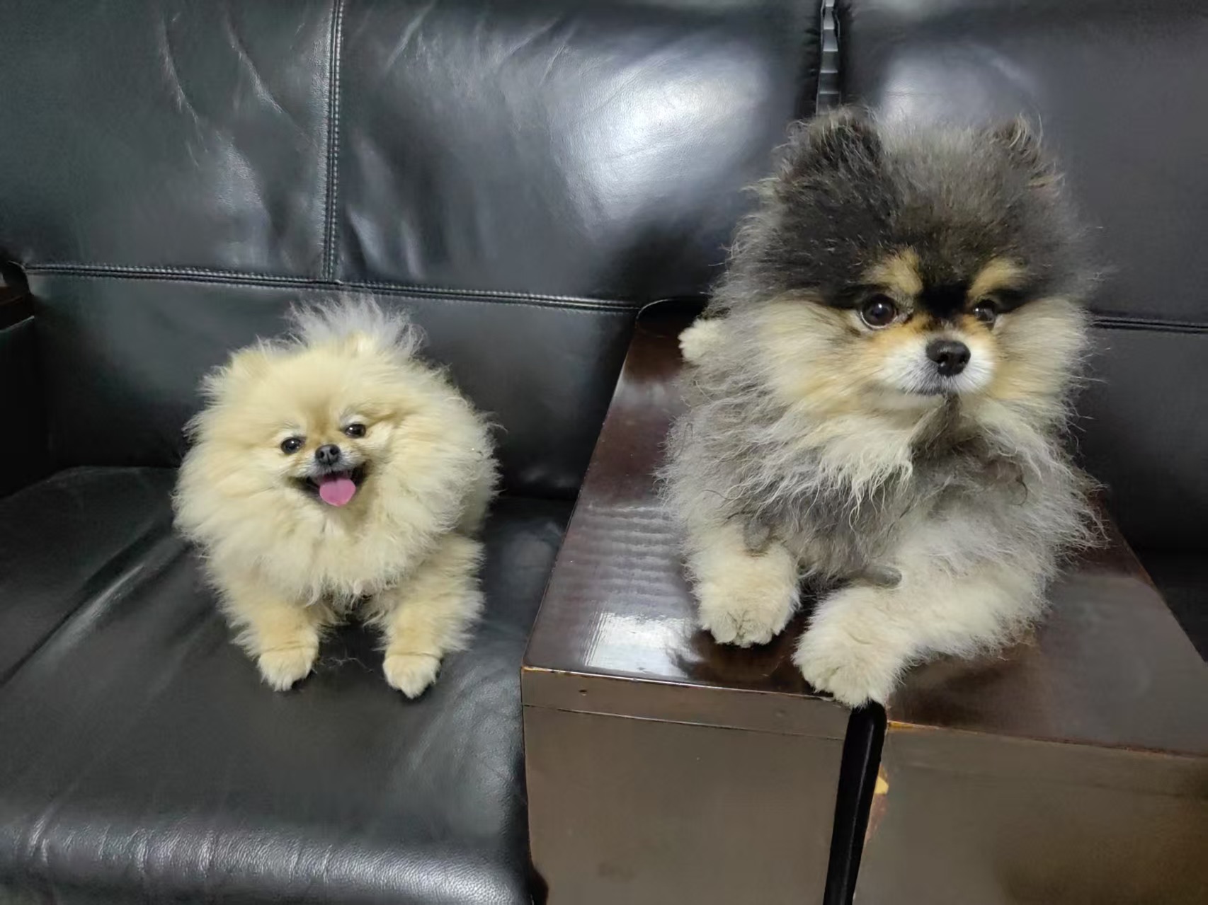 May & Cola